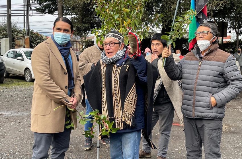  Con una rogativa mapuche comenzó su gestión el seremi de Agricultura Héctor Cumilaf