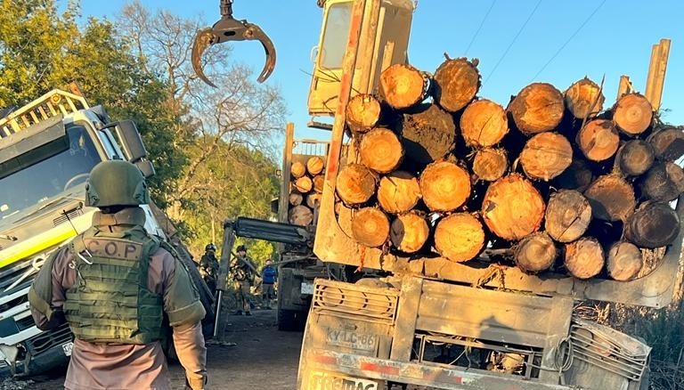  Carabineros logra la detención de un individuo por hurto de madera en predio forestal de Victoria