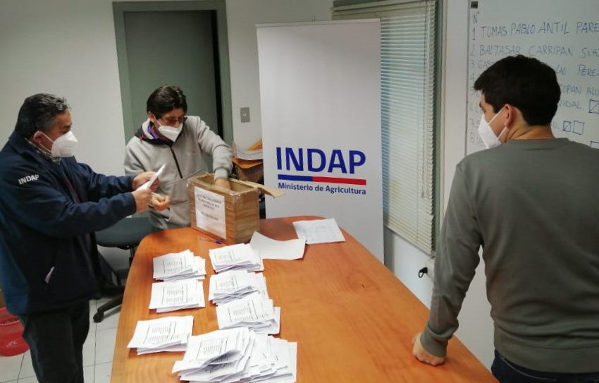  Con la participación de 124 dirigentes campesinos se realizó la votación para conformar la directiva del Comité de Agencia de Área de INDAP en Tirúa