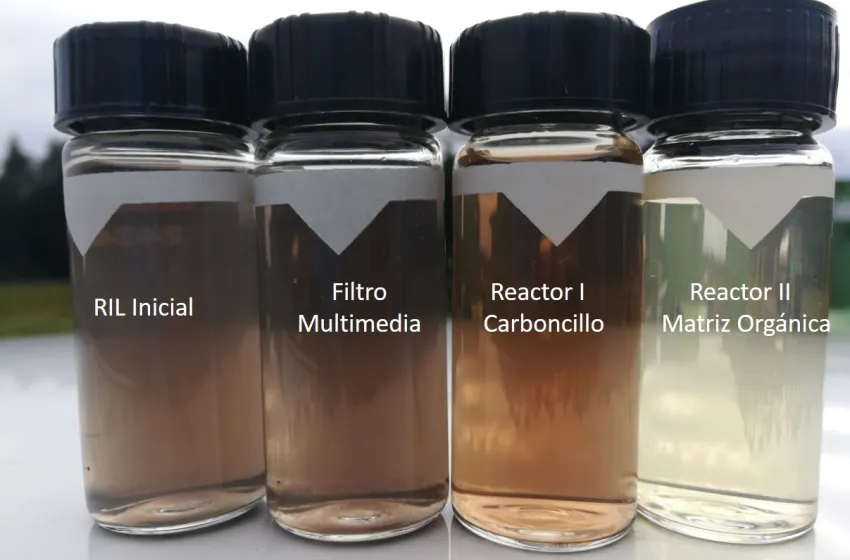 Investigadores UFRO convierten carboncillo en un efectivo material para el tratamiento de aguas residuales