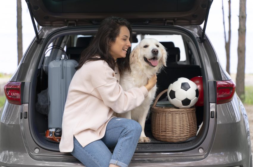  Cinco consejos para viajar seguro con tu perro en vacaciones