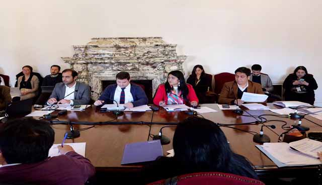  Ministra Toro entregó antecedentes sobre pérdida de tierras mapuche y explicó el rol histórico del MBN en el proceso