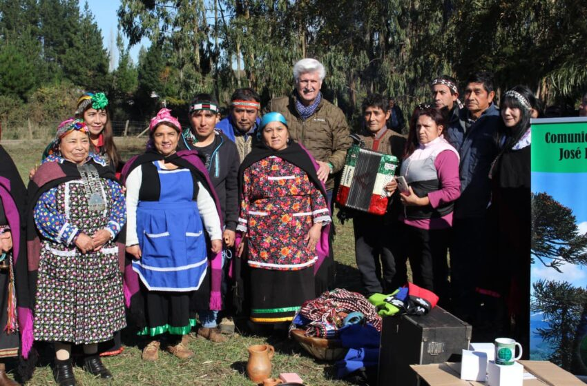  Tradición ancestral: Comunidad Indígena de Lautaro recibió indumentaria mapuche