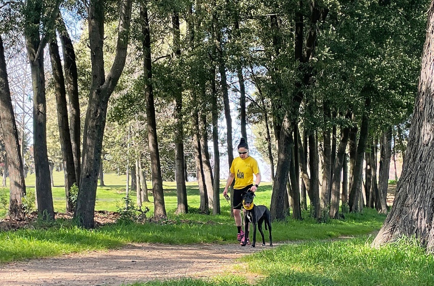  Universidad Mayor y Municipalidad de Temuco invitan a una nueva versión de la Dog Run en el Parque Isla Cautín