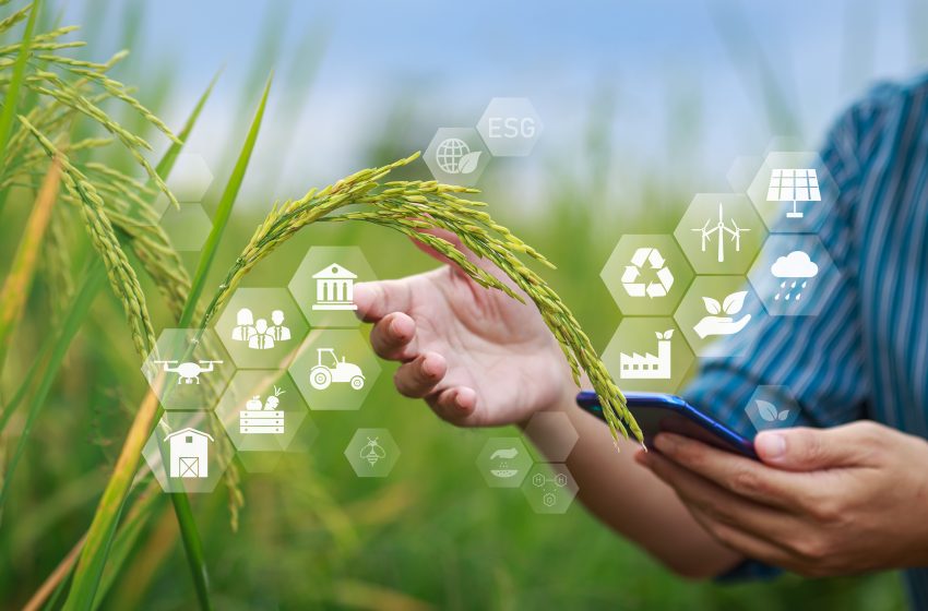  Post COP 27 | Cómo la Agricultura basada en Economía Circular y ecológica disminuye el calentamiento global y el impacto del cambio climático