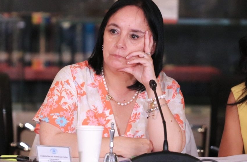  Senadora Carmen Gloria Aravena por fuerte caída en indicador de confianza empresarial en La Araucania