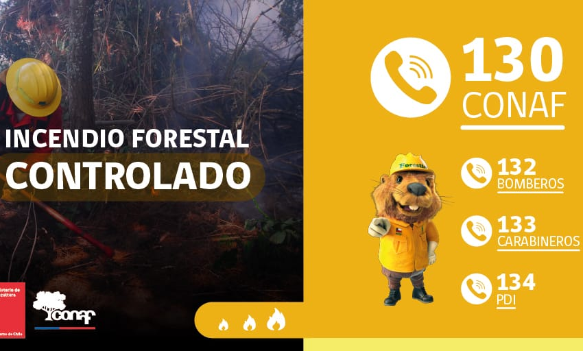  Alerta roja en Angol por incendio forestal que amenaza viviendas