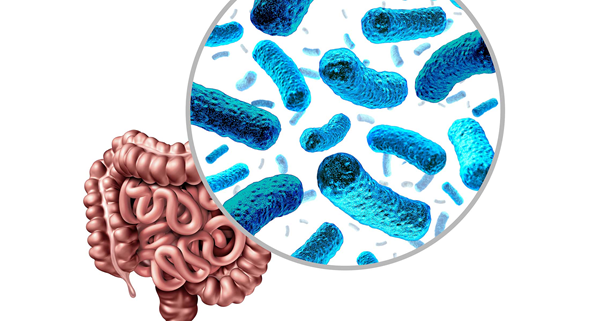  Según especialistas fortalecer la microbiota intestinal es la fórmula para mantener las infecciones a raya